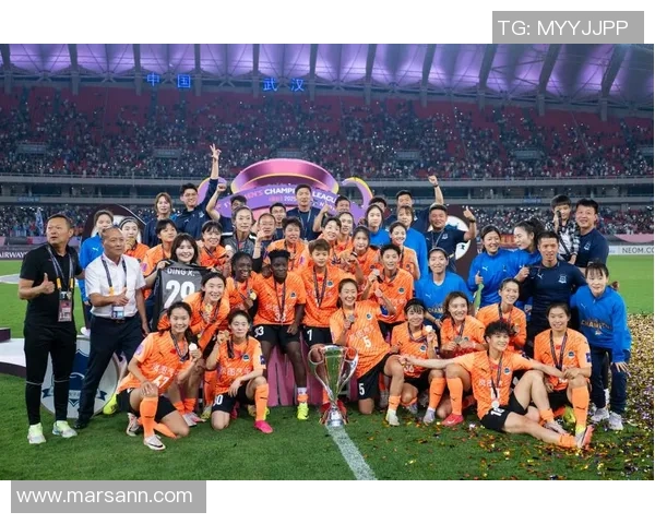 足球纪实：记录武汉足球队的奋斗经历