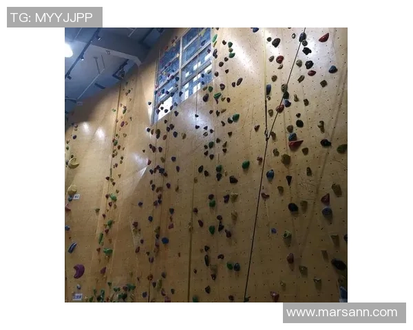 聚焦攀岩:南京攀岩队的比赛经验话题